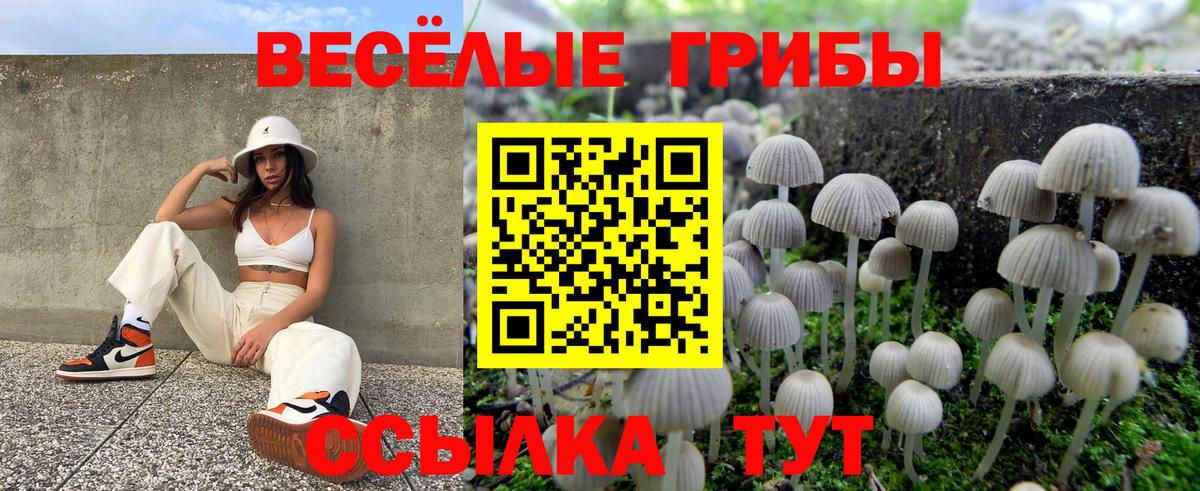 Псилоцибиновые грибы Cubensis Чебаркуль